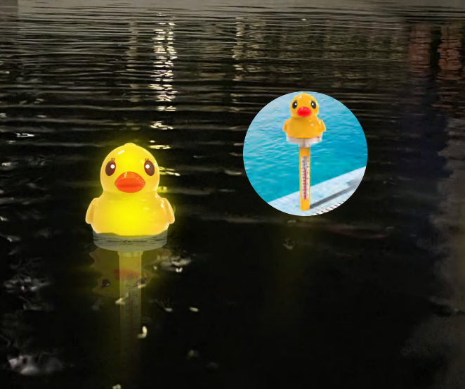Solar Light up duck Thermometer  CT905D